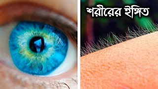 আপনার শরীর কিছু বলতে চায়! Tricks that your body plays on you everyday