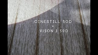 Cinestill 50D vs Kodak Vision 3 50D