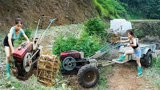 Living the Wild Life: Plowing Fields, Building Homes, and Embracing Self-Sufficiency! - LTtivi