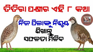 ତିତିରା ପକ୍ଷୀର ଏହି ଆଠଟି ଜ୍ଞାନବର୍ଦ୍ଧକ କଥା ନିଜ ପିଲାଙ୍କୁ ନିଶ୍ଚୟ ଶିଖାନ୍ତୁ । ନଚେତ...