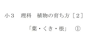 小３理科_植物の育ち方【２】　葉・くき・根