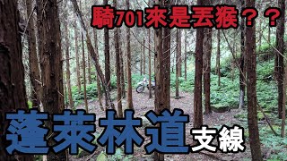 SoloRider #017 蓬萊林道 支線 | 林道探索 | 越野 | Husqvarna 701 Enduro