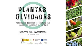 Plantas Olvidadas - Seminario web Bioeconomía y alimentos forestales