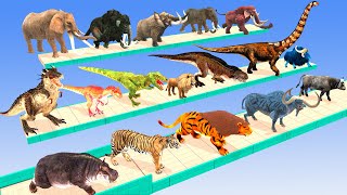 Animals vs Prehistoric Mammals Speed Race Run Zigzag Down Course! from Outside Animal Revolt Fights