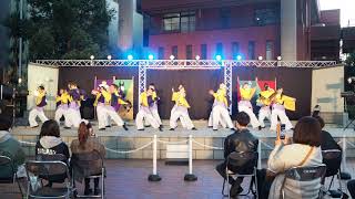 井芹祭2021【よさこい】華咲流舞　〜逢雅〜