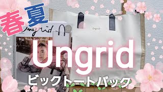 『雑誌付録』Ungrid　big tote bag book 　春夏可愛いビックトート！！ムック本♪初アングリッド♪