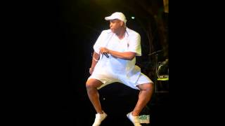 rah and rohi live creole in the park live 2014 bouyon evolution pt1