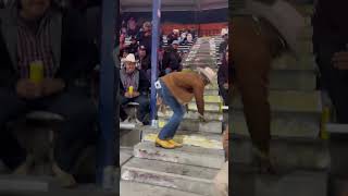 What a jaripeo looks like! 🐂🕺🏿