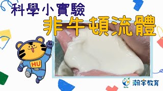 非牛頓流體 X 【@camphuhu ．科學小實驗】