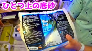 海水水槽に絶対おすすめしたい底砂を紹介する篠藤氏【トールマンTV切り抜き】