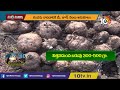 కంద‌నాట్లు మెల‌కువ‌లు tips and technics for elephant foot yam cultivation matti manishi 10tv