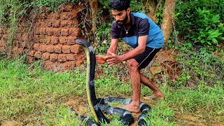 തിരിഞ്ഞ് കടിക്കല്ലേ....😳😳😳 A king cobra made of soil..