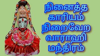 வாராஹி அம்மன் வசிய மந்திரம்🕎 / varahi vasiya manthra🌟🦋🪔 #varahivalipadu