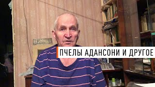 Кашковский В.Г. Пчелы адансони, прополис и маточное молочко. - Парк Плюс