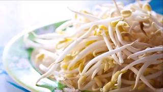 Health Benefits Of Bean Sprouts