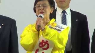 15/04/19 街頭演説 東京都狛江市議会議員候補