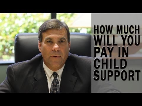 How much will I pay in child support? How much will I pay in child support?