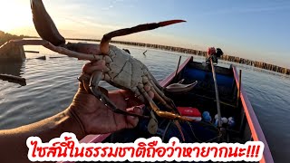 กู้ลอบดักปูทะเลริมหลักไม้ไผ่🦀หาตั้งนานนึกว่าปูหายไปไหน💢ทีแท้ก็มาแอบตรงนี้นี่เอง!!!EP.138