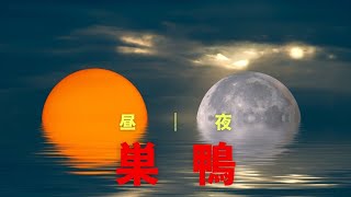 番外編、山手線、都営三田線巣鴨駅の昼夜映像です。街は昼の顔、夜の顔があります。特に女性の一人住まい、部屋までの道のり夜の環境が重要なんです。本編で昼の巣鴨駅の様子の動画もありますのでご覧ください、