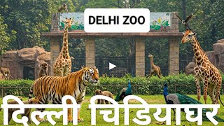 Delhi Zoo - All animals of National Zoological Park Delhi दिल्ली चिड़ियाघर