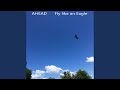 Fly like an Eagle