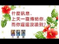 ★Luna占卜★ │  什麼訊息,上天一直傳給你,而你遲遲沒讀到?│ 塔羅 │ Timeless Reading (無時間限制)