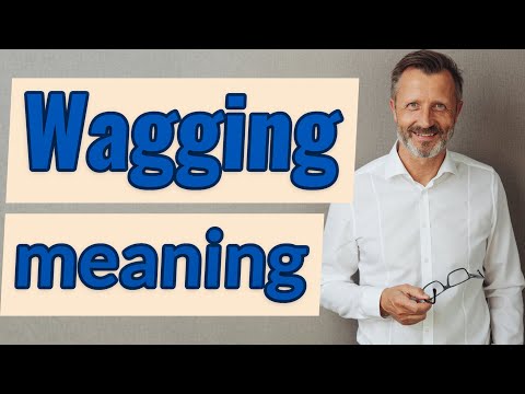 What is the meaning of Waggy?