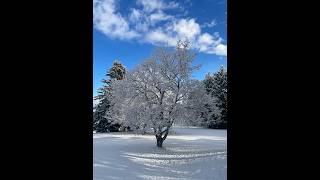 Spring storm to bring widespread snowfall to the area; Winter Storm Warnings, Advisories