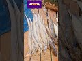 fish cutting সমুদ্র কিছু পচা মাছ