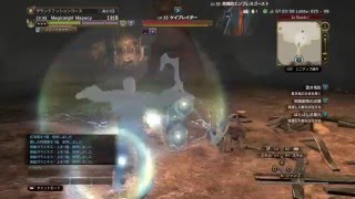 DDON 坑道の怪物 プリーストソロ討伐 Lv55ベヘモット＆Lv55エンブレムゴーストx２ ドラゴンズドグマ オンライン