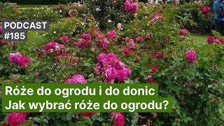 185. Róże do ogrodu i do donic. Jak wybrać róże do ogrodu. Podcast