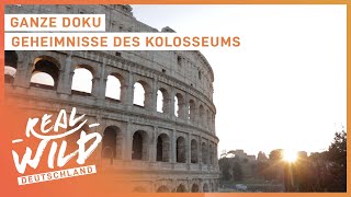Das Kolosseum in Rom | Ganze Doku | Real Wild Deutschland