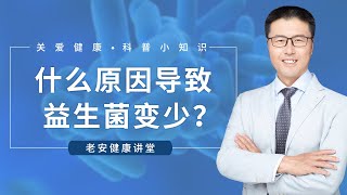 什么原因导致益生菌变少？（中医养生） | 【老安谈健康】