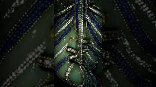 Krishna statue with diamonds and 2000 crore amount