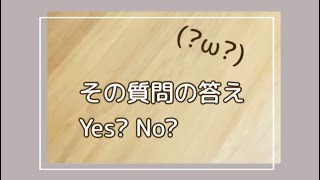 その質問の答え、Yes? No?