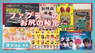 【ガチャガチャ】【ブラインドボックス】今回はオケツ多めになっちゃいました！