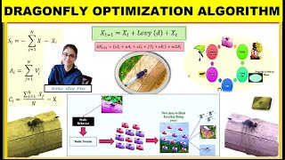 Learn Dragonfly Optimization Algorithm Step-by-Step with Example🌞🌞🌿 ~xRay Pixy