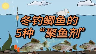 冬天钓鲫鱼，巧用5种“聚鱼剂”，连竿爆护也不难