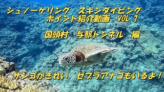 シュノーケリング・スキンダイビング　ポイント紹介動画VOL.7　　　　　国頭村　与那トンネル　編