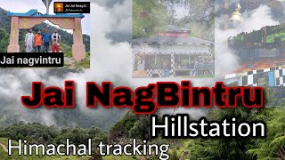 Tracking nag vintru || naag vintru || tracking himachal pradesh || Nag Bintru Temple || dhauladhar