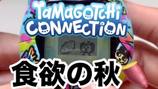 【Tamagotchi Connection】Get Exclusive Items with a Password!? Ringotchi Enjoys the Appetites of Fall🍠