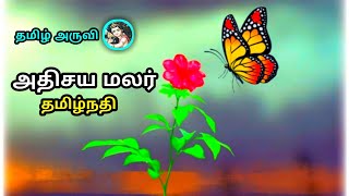 12th அதிசய மலர் தமிழ்நதி இயல் 7 | 12th adhisaya malar tamilnadhi unti 7 | Ambiga kodiswaran