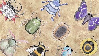 music for bugs - full album