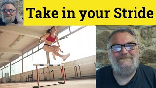 🔵 Take Something in Your Stride Meaning - Take In Stride Examples - Sake it in One's Stride
