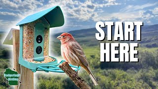 A Beginner's Guide to Smart Bird Feeders