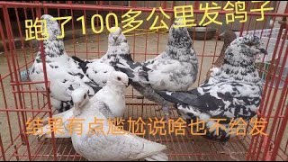 帮粉丝朋友跑了100多公里去发雪花元宝鸽子，好说说尽就是不给发