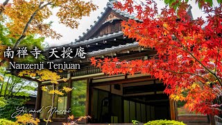 【京都暮らしvlog】南禅寺 天授庵｜京都の紅葉 2022年｜一瞬の美を探す愛しき日々