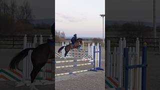 🌶️ in the 🥶 - she was pretty happy to be back jumping and not doing flatwork #jumptraining #jump