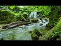 Beautiful Piano Music 365 Day • Relaxing Music for Sleep, Studying & Relaxation