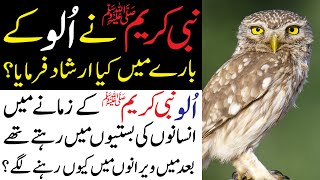 What islam says about Owl | Ullu Ka Waqia